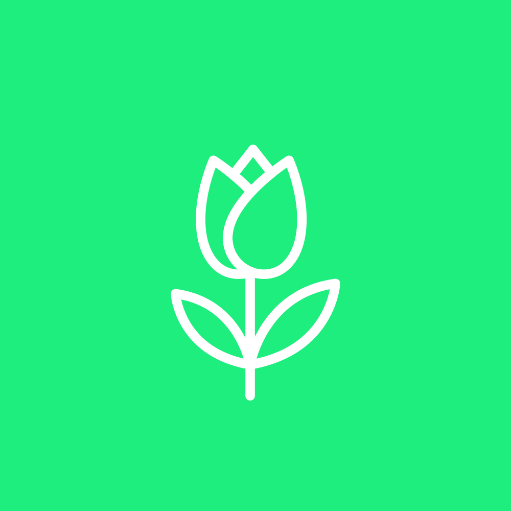 blinkee.city tweet media