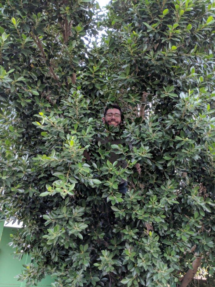 Happy Tu B’Shevat! Go hug a tree today and say happy birthday. Post a pic of you hugging a tree and tag us to be featured on our social media.