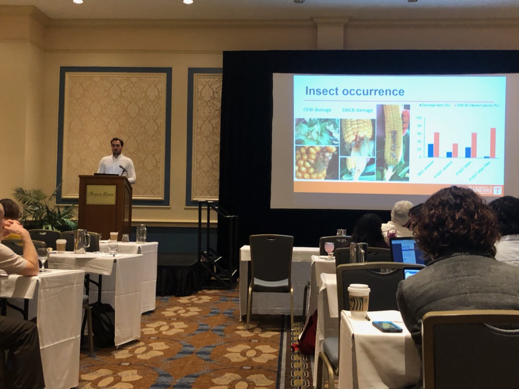 TNplantDR's tweet photo. As always, very proud and thankful for the grad students in my program! They all did a great job presenting at the #SDAPS2020 meeting today!
@PatePlantPath @EliasZuchelli @roofusever @Ty_MSmith1 https://t.co/hAi8fFiYUl