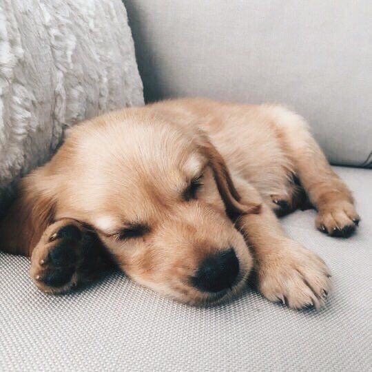 pictures (@pictures) on Twitter photo 