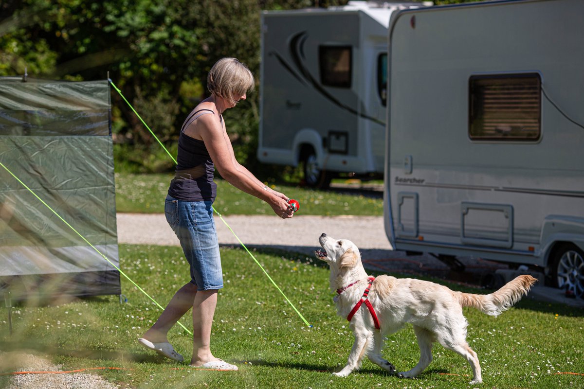 Thinking about camping ⛺️ with your pooch? Ensure two- and four-legged 🐶 members of your camping crew have a great time with these essential tips…

bit.ly/2HcLh0M

<a href="/dogfriendlyinfo/">DogFriendly</a> <a href="/cornwall4dogs/">Dog Friendly Cornwall</a> #cornwallcamping #dogfriendlycampsite