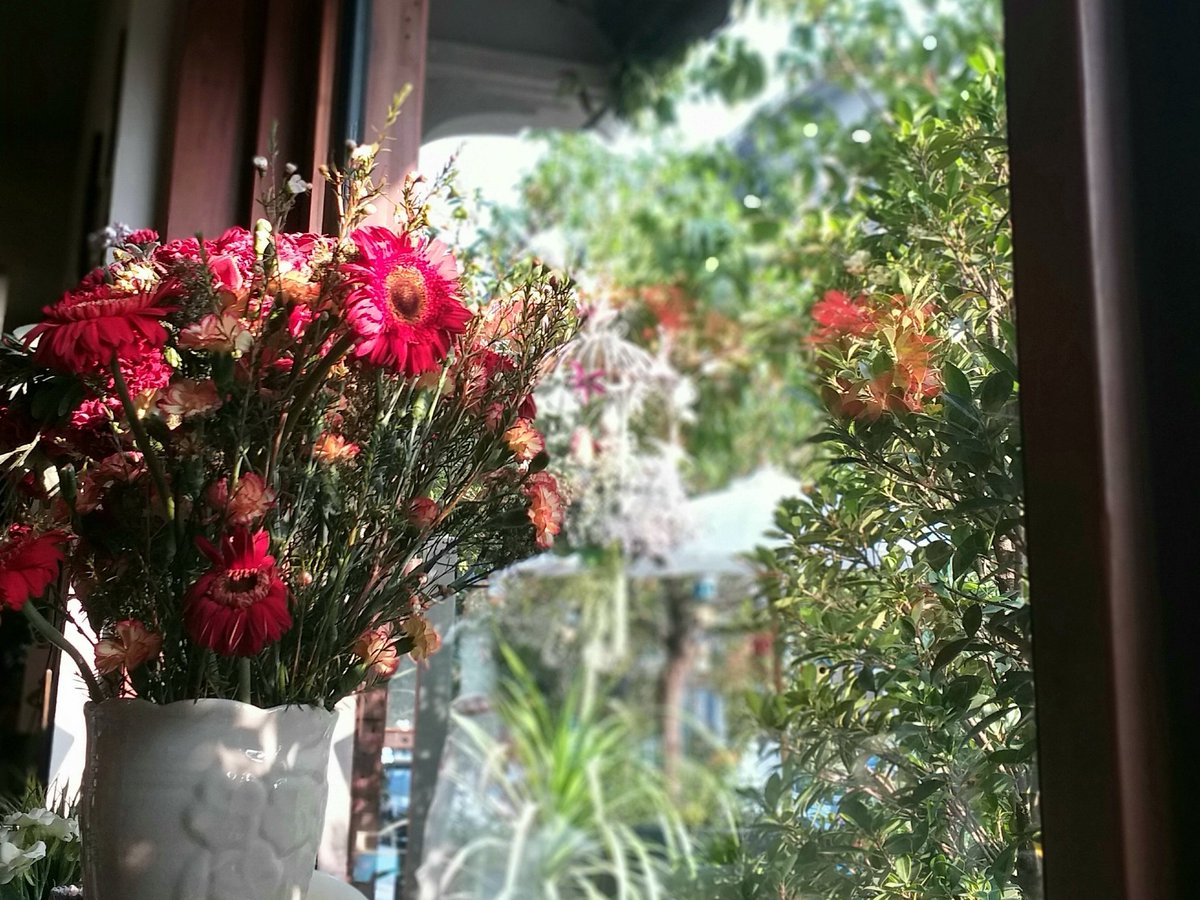 wordsreading's tweet photo. Do you feel lonely
Cause you seem like one
Also seem so lively
Keep aiming to the sun
Do you know you'll die young
Does it any bother you?
I guess I got the answer
From how graceful you bloom https://t.co/gORJBiUDuj