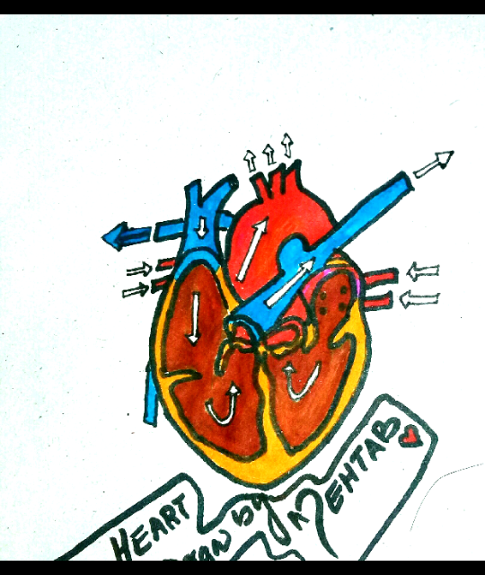 Mehtab79575497's tweet photo. HEART Structure❤ 
Art by me... https://t.co/8LN3A41qGG