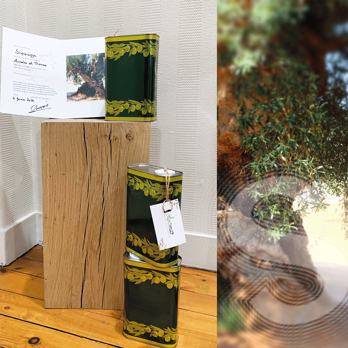 #adopteunolivier 🌳Le Groupe Signorizza encourage la sauvegarde du patrimoine Italien en offrant à chaque franchisés du réseau un abonnement d'un an chez #olivomio, exploitation responsable et respectueuse des traditions.