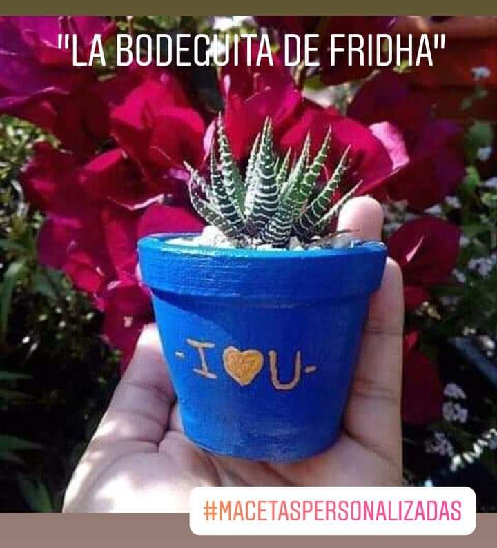 BodeguitaFridha's tweet photo. #MacetasPintadasAmano 🎨 👩🏻‍🎨
#CelebraElAmor 💗 👫
#14DeFebrero 🌹

Lindísimas macetas personalizadas, con la frase que te guste, nombre o alguna imagen. 🎨

Atrévete a vivir la experiencia, somos tu mejor opción. 💚🌾🌿

@BodeguitaFridha 🌻 https://t.co/XDRkBzYvon