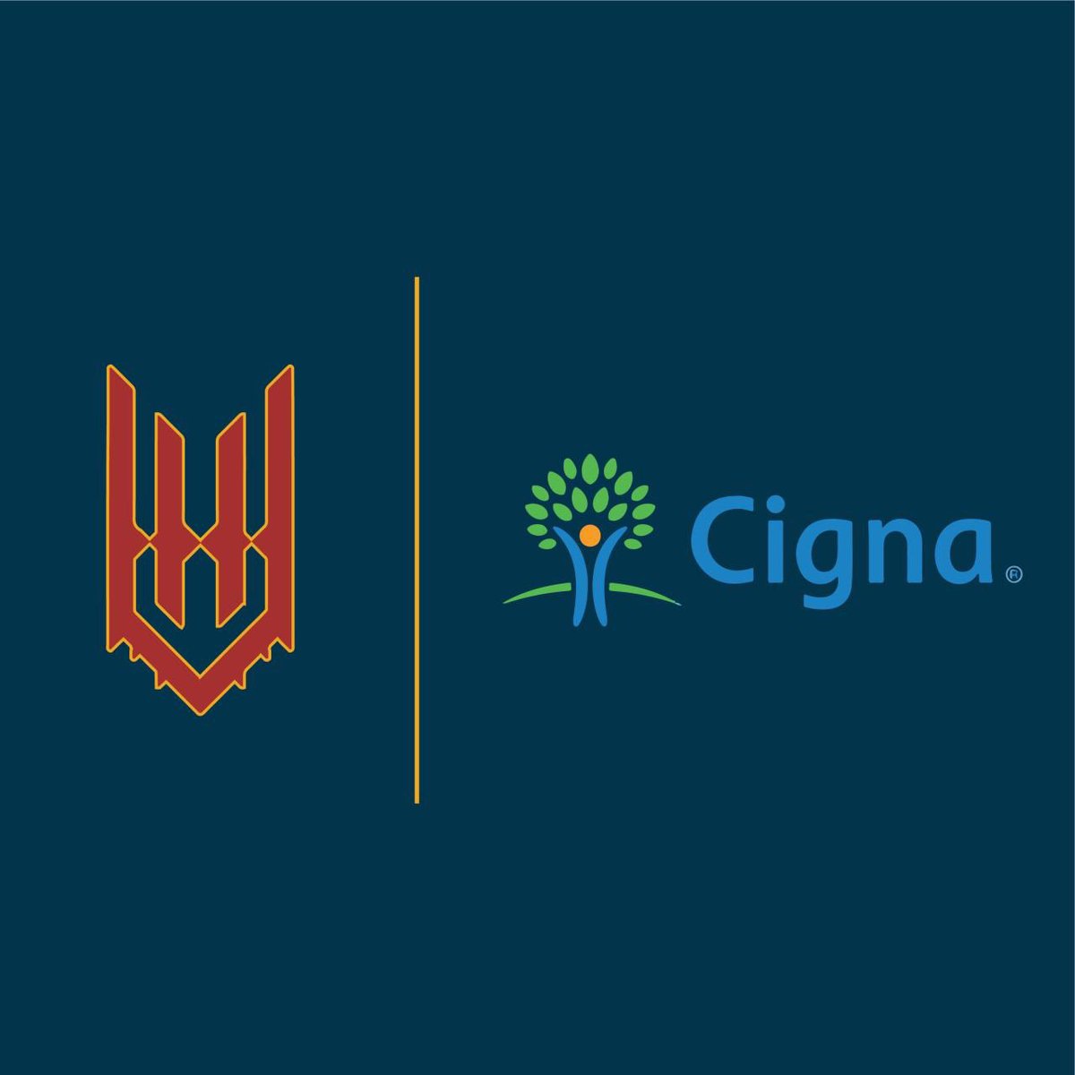 Hello Hackers! We hope you all are having a wondering Monday and preparing for #hackthestack on February 21st!

Today we would like to shout out <a href="/Cigna/">Cigna Healthcare</a> for their generous contribution to UMSLHACK 

#umslhackv4 #umslhack #hackthestack #umsl