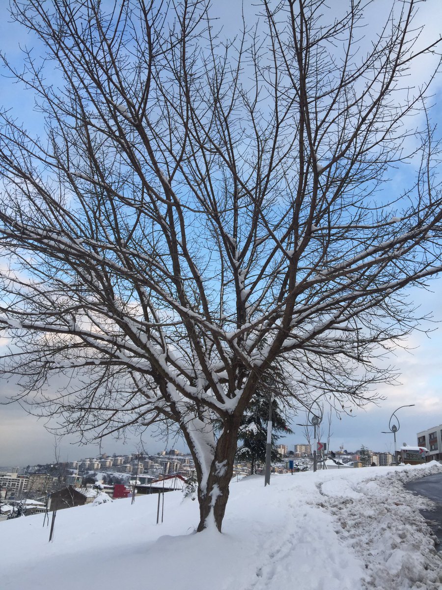 nurselyigci61's tweet image. #February #monday #pelitli #trabzon #10.02.2020