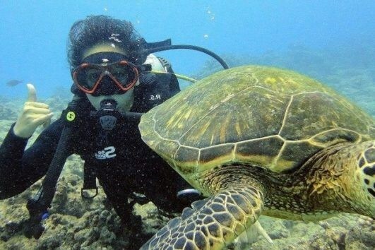 scuba_hawaii's tweet photo. RainbowScuba: KGoetz2005 : Always a great experience with the octopus 🐙!
#scuba #Hawaii #Gopro customers #octopus #fundivingday #colorfuloctopus #deepbluediving #underwaterdiving #beautifuloctopus #divingexperience #mondayoctopus #fundivingtrip hawai… https://t.co/VQPLzSDLCX