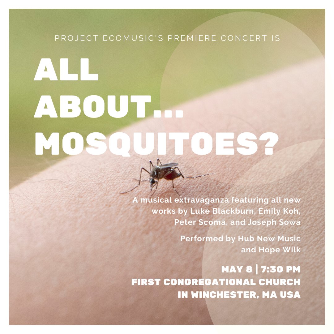 projectecomusic's tweet photo. Our founder, Luke Blackburn, who grew up in the swamps of Florida has many many memories of the menacing mosquitos. He couldn't resist an opportunity to include these tiny vampires in his new composition, Menagerie of Spectacular Creatures, No. 1 - Insects. ⁠ https://t.co/202GZsfqne