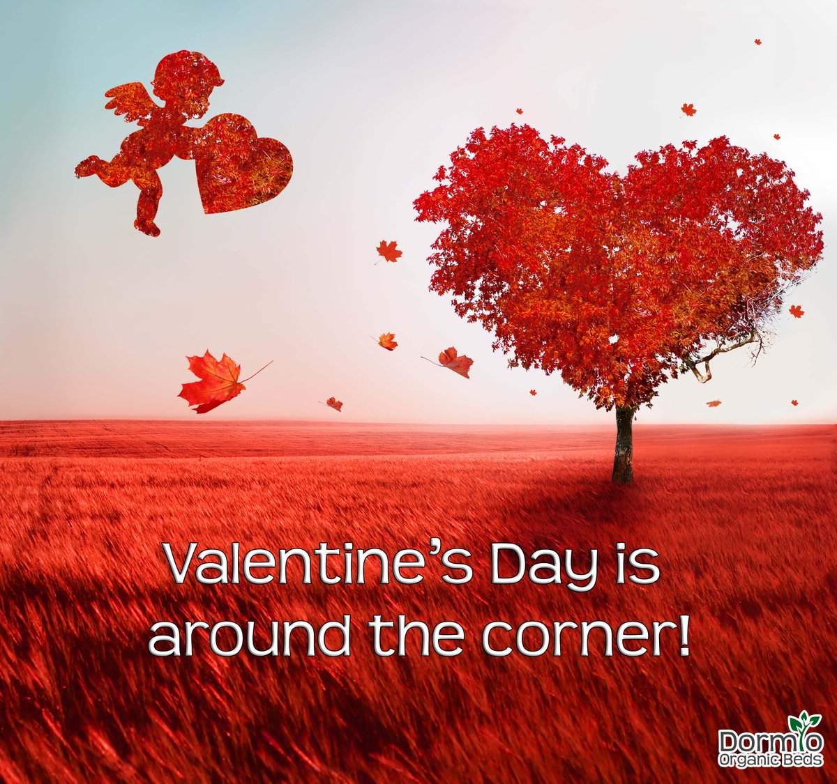 organic_beds's tweet photo. What are your plans for #Valentine's Day? ❤️
💞
If you're struggling with ideas...
Why not head over to one of our stores, after all...
💞
Nothing beats spending a day in bed with the one you love. 
💞 https://t.co/3r6rDjWVIG