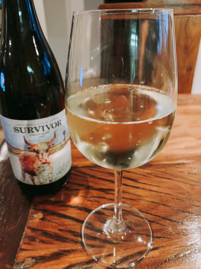 GlamGreenGirl's tweet photo. Did you know that glass is 100% recyclable? Just another reason to pour a glass of @SurvivorWines 😜 @SAVineShare #SAVineShare #2020survivor 🍷 https://t.co/E81oFdhmho