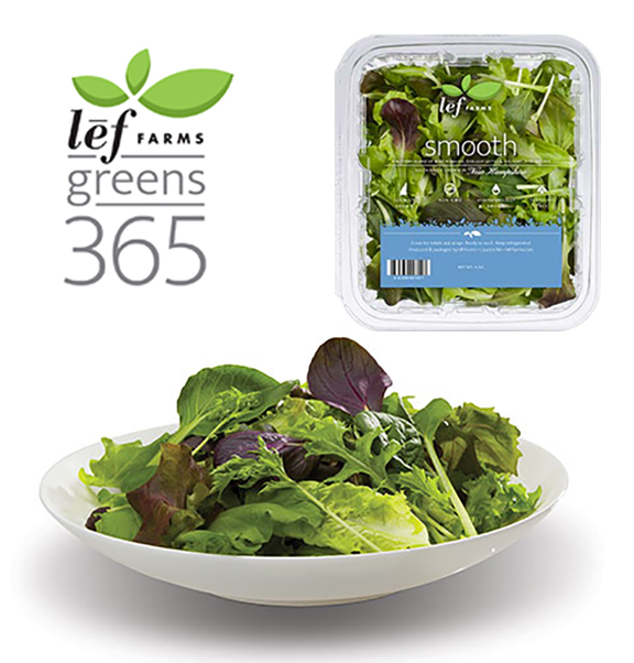 A blend of Leaf Lettuce, Pac Choi, Mizuna, and Oakleaf. These tender baby greens provides an ultra-smooth easygoing mix for salad connoisseurs who prefer to let the toppings or dressing bring the zest.