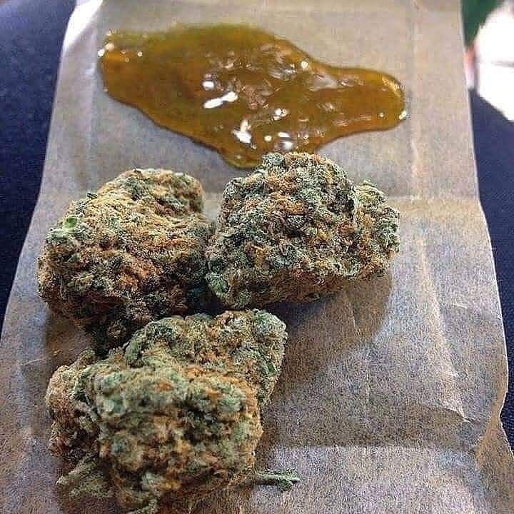 weeddshop100's tweet photo. De la bonne qualité commandez sur /

Snap/jeanmarieowon19

Wickr/weedshop100

#Marseille #paris2020 #Lyon #toulouse #Nice #nantes #Strasbourg #Montpellier #Bordeaux #Lille #Rennes #Reims #lehavre #saintetienne #Toulon #grenoble #Angers #Dijon #brest #Nimes #LeMans #aixenprovence https://t.co/dKPKvVewJZ