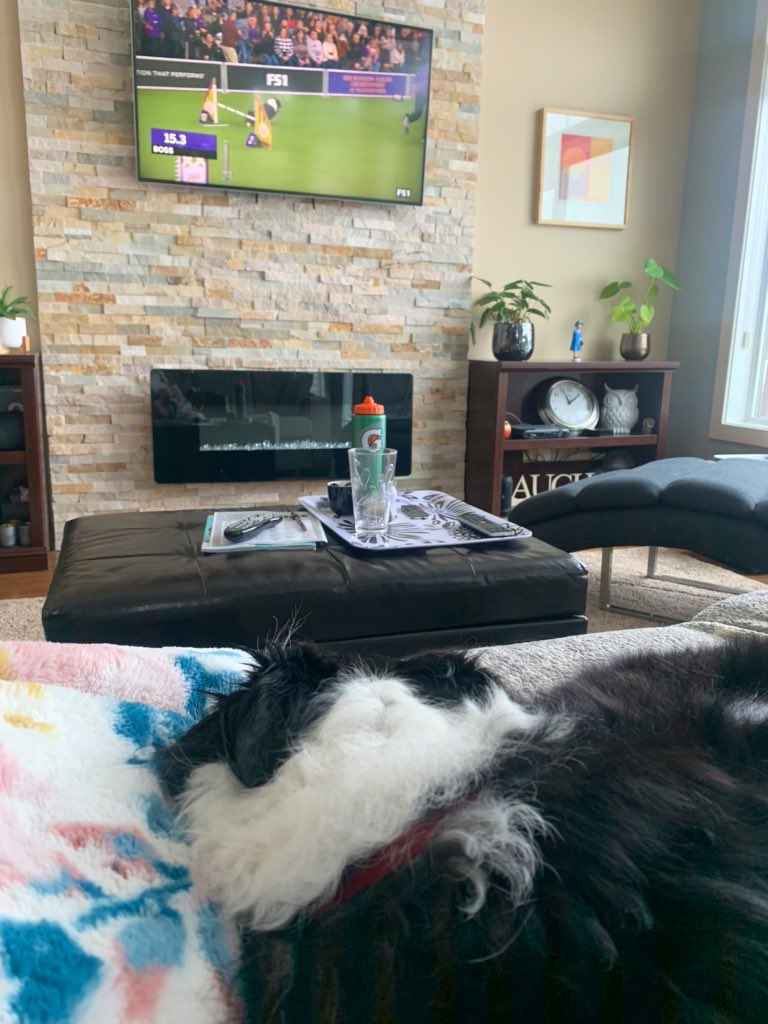 FionaOdlum's tweet photo. Late night anchoring this week on @CBCSask means I get to hang out and watch some agility with my best gal all day! @WKCDOGS #RubyRu https://t.co/KhmbkNT65Y