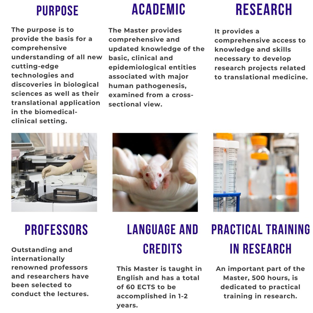 MasterTMedicine's tweet photo. It's time to pre-register! Pre-registration for @MasterTMedicine is now open! @UniBarcelona #master20202021 #medicine #biomedicine #studyinbarcelona #translationalmedicine #officialmaster #Biotechnology #officialmasterinbarcelona https://t.co/6YzFDzUSDQ https://t.co/kzlOTGPyRg