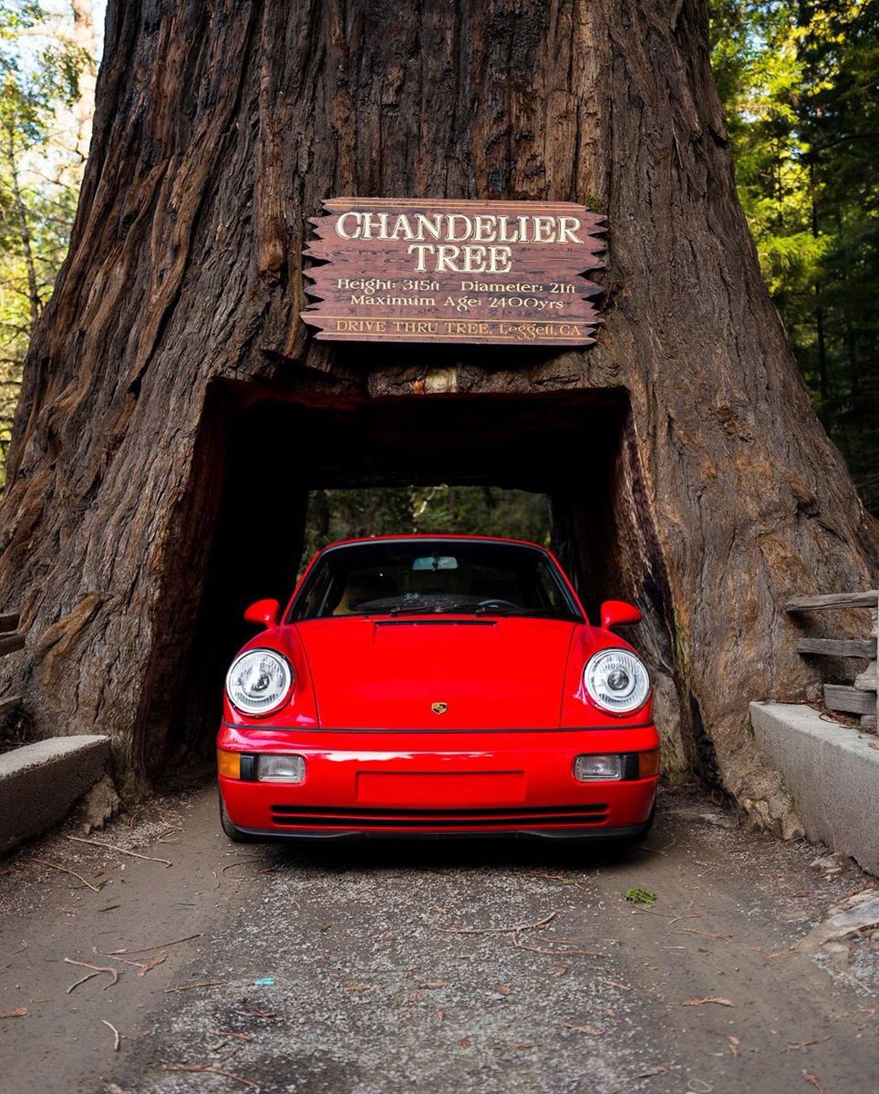 Porsche911UK's tweet photo. Taking the @SharkWerks through itโs greatest challenge to date, a 2,400 year old tree ๐ฒ Now thatโs a different kind of road trip ๐๐ป
#nosubstitute #porsche911
#PorscheMoment #porsche911uk #PorscheTree #porsche911RS #997RS #Porsche964 https://t.co/KabpgrE3LN
