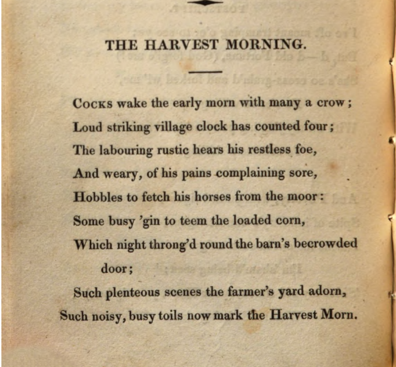 JohnClareSoc's tweet photo. Sorry for the short hiatus in #PoemsDescriptive2020 ! We're back, bustling, and busy today with 'The Harvest Morning' https://t.co/M5keEvzDE7