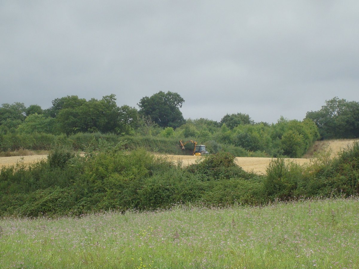 FarmWildlifeUK's tweet photo. Here's a few of the best hedgerows I've seen on UK farms for #hedgeweek

All #ProudToGrow great hedges! - These from #Herefordshire &amp; #Warwickshire 

Be great to see your favourites &amp; examples of different styles of hedging (hedge restoration) done over the winter https://t.co/h5lmFGzUjg