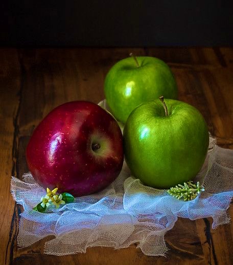 melo_zeno's tweet photo. #KaraAmbargroup
#VGSDV #IRSDV

 🍎ᖴⓞˡᒪⓄ𝓦🍏

@Ayhan_525
@Sudem445
@Alex95LT
@xPrinceOfPersia👑
@SouAnjoCaido
@Alessandra__AS
@666_alhlwan 
@WomanCat70
@BhrunaDuque
@Carla56725378
@vampira_SDV👑
@swydersk
@PetalsTm
@1F_sts
@Negrashow

#1FIRST #TM_POP
#TM_TEPESTADE https://t.co/MJgas2Q3Fj