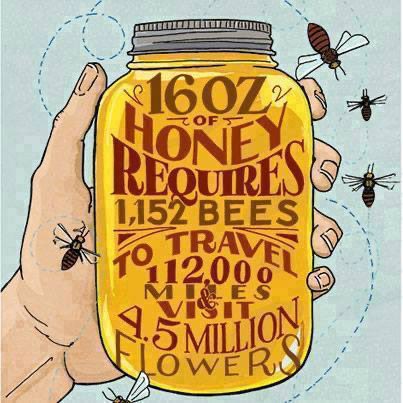 Did you know?! #savethebees Source: facebook.com/thegardeningso…
