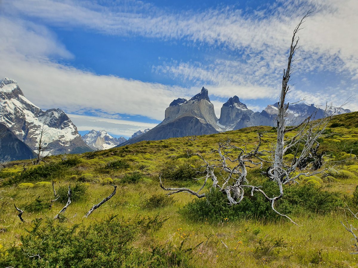 Wieteke (Louise) Willemen tweet media