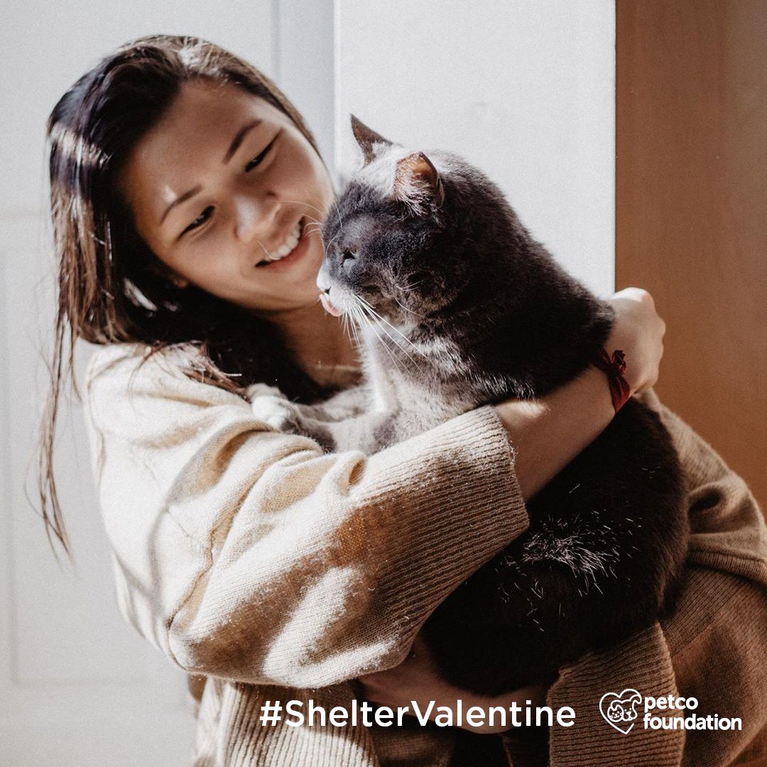 Petco Love (@petcolove) on Twitter photo The type of love that changes your life for the better!💗
OK adopters! 🕬 Let's send love to shelter pets and the people who care for them!💌 Post your #ShelterValentine + @ mention <a href="/petcofoundation/">PETCO PUPPIES REHOMING🐾</a> & your adoption org. to give them a chance to earn $10K! bit.ly/38Y4tex The type of love that changes your life for the better!💗
OK adopters! 🕬 Let's send love to shelter pets and the people who care for them!💌 Post your #ShelterValentine + @ mention <a href="/petcofoundation/">PETCO PUPPIES REHOMING🐾</a> & your adoption org. to give them a chance to earn $10K! bit.ly/38Y4tex