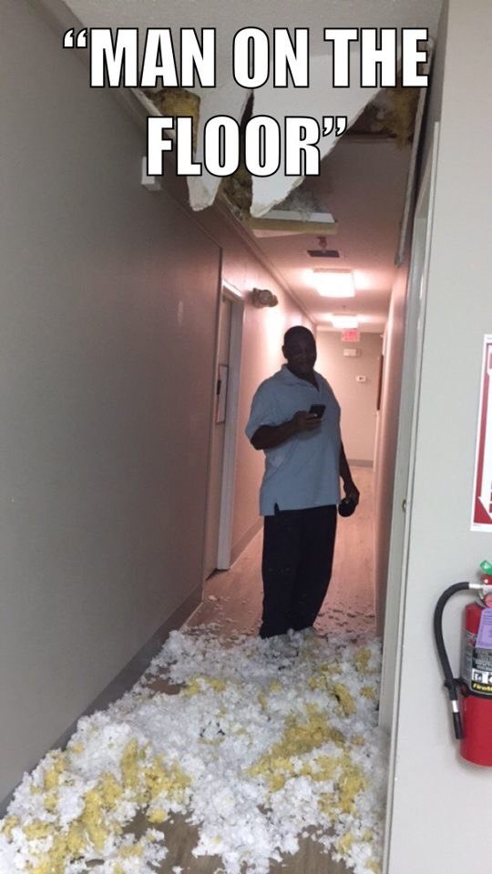 Nat Im Screaming I Miss Mr C This Meme Format Is Sending Me