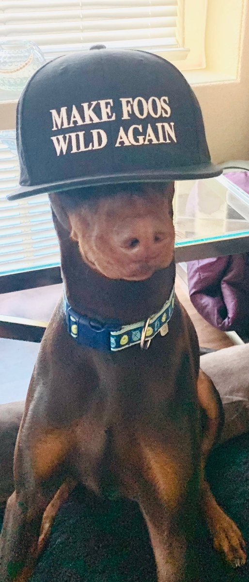 BasedCaptan's tweet image. Diss foo @foosgonewild