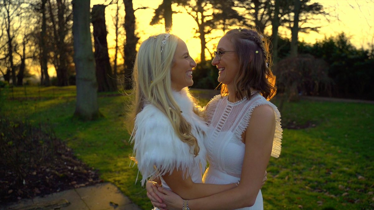 HedgehogVideo tweet media