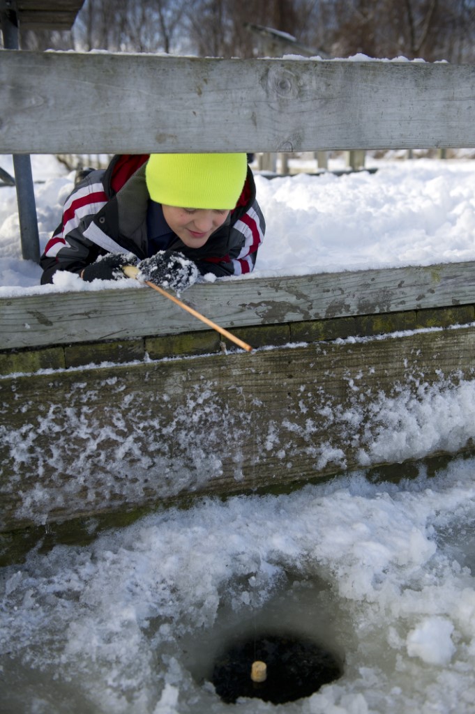 MiStateParks's tweet photo. DNR headlines: Free fishing, NRC meeting, bait laws, inland lake and stream surveys: https://t.co/DitN0pAIac
#ExploreOutdoors #ComeOutAndPlay #OptOutside #PureMichigan #MakingMemoriesInMichigan #FindYourWild #MiStateParks #StateParks #Parks https://t.co/pouhlG4MKK