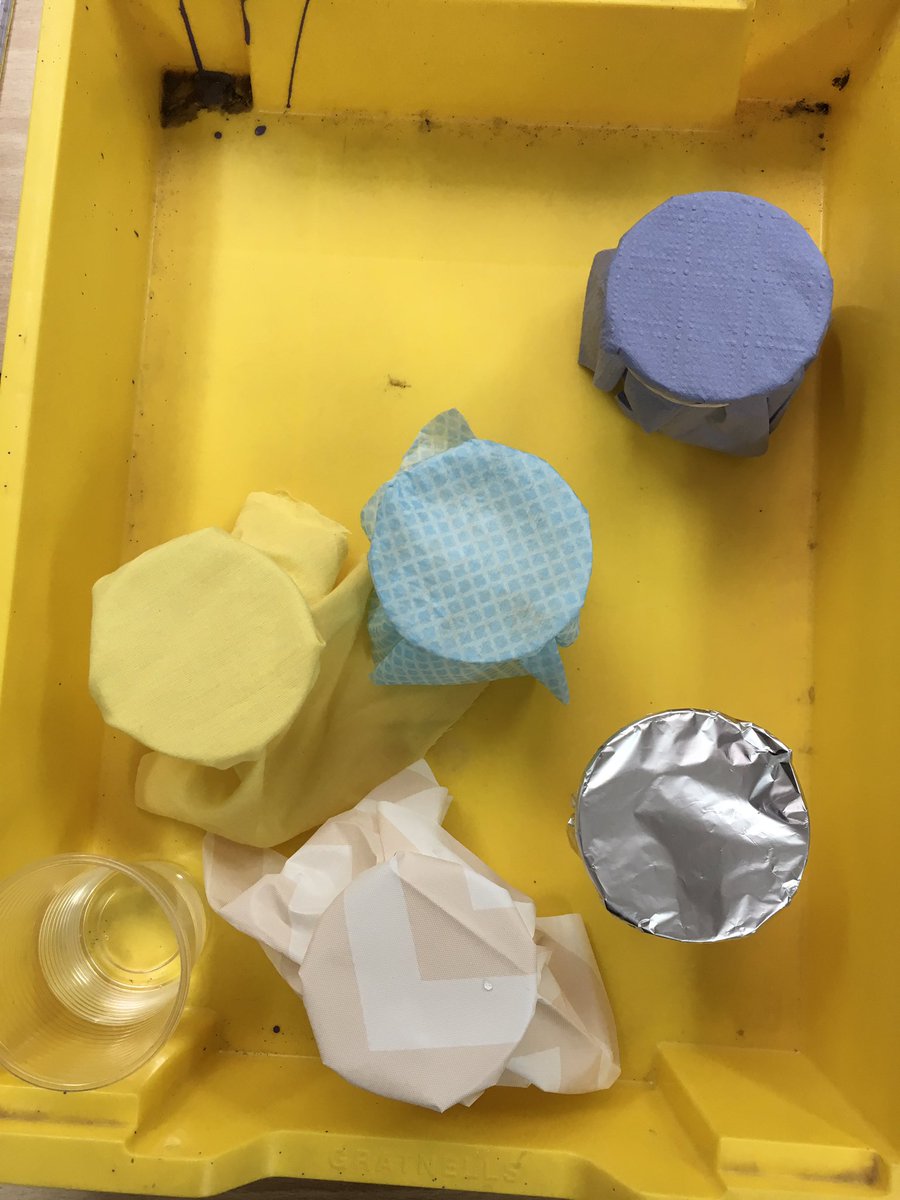 Mrs Murphy tweet media