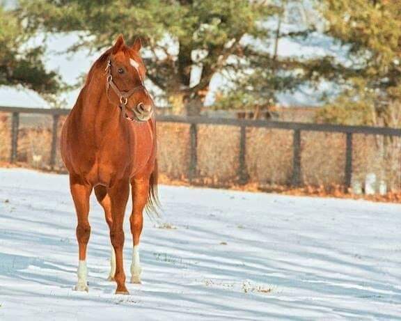 Paco Gonzalez on Twitter: