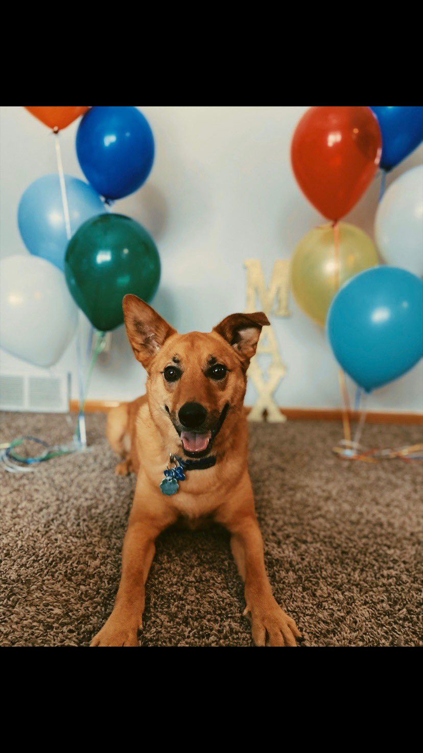 He needs to stop growing up. Happy 4th birthday Max Brown 