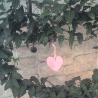 ShnerMo's tweet image. #NeuesProfilbild