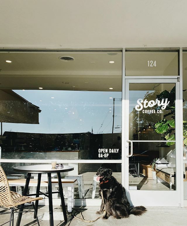 StoryCoffeeCo's tweet photo. Walk up Weather. #findyourcoffeeplace 📷: @kristysue_ https://t.co/bxaXo2i8oB https://t.co/OMsFPkkycT