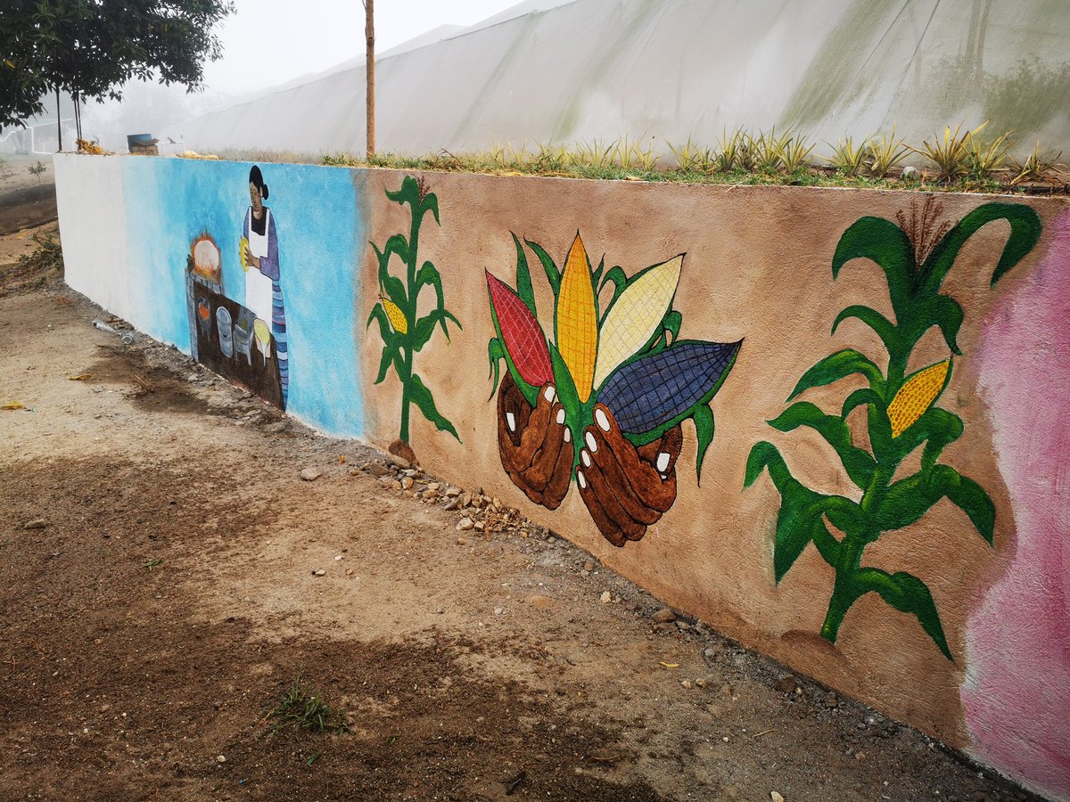 JOSEMARICHE's tweet photo. El Origen del Maiz, es un mural que lo esta ejecutando Leonel Garcia Espinoza, compañeros del CETEC y estudiantes de Instituto Tecnologico de Pinotepa y la Universidad Tecnologica del Centro de Veracruz para NATIVO. 
@ACCIMMYT
@bramaccimmyt
@HubPSurCimmyt
@FAOMexico
@CIMMYTesp https://t.co/J0w56YHepj