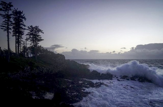 This scenery just never gets old...! 
😁

.
.
.
#oceanwestliving #lovewhereyoulive #ucluelet #onceisneverenough #edgeoftheworld #stressfreezone #wildpacifictrail #hikingtrails #myucluelet 

📷 by <a href="/il/">il</a>.luminator