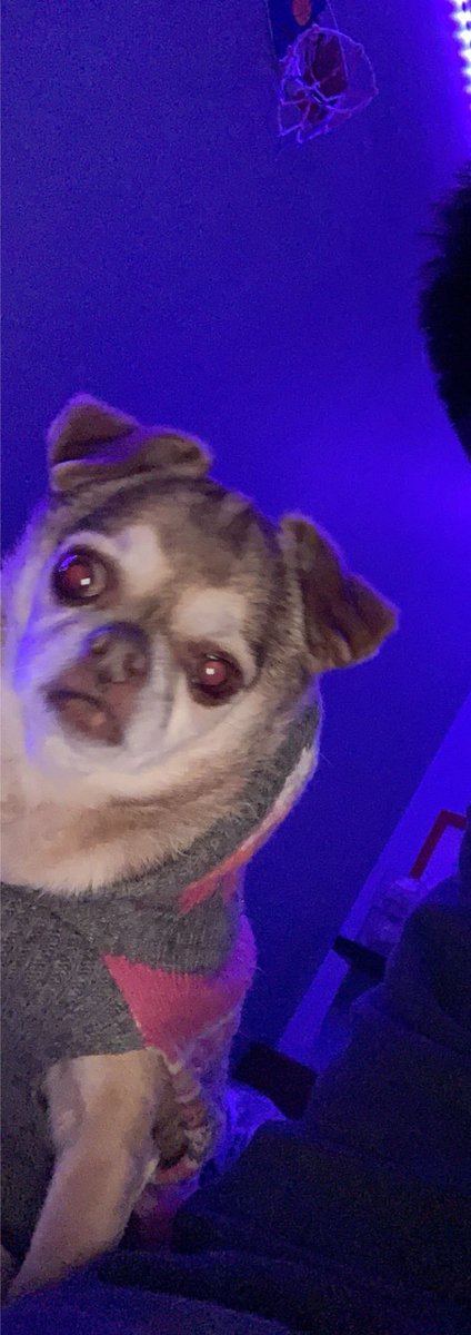 tyleeeeeeerr's tweet photo. Chilly season 🥶 https://t.co/z0B0AjgQ0d