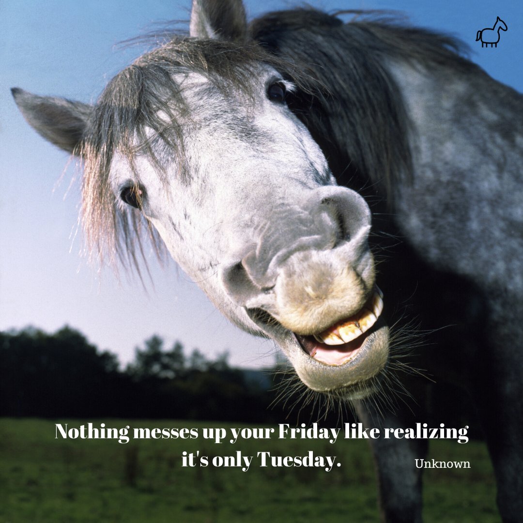 eqnextdoor's tweet photo. Is it really Monday? Where did the weekend go?!
๐๐
#equestrianlife
#dontstop
#MondayisthenewTuesday https://t.co/8NV33EPC4Y
