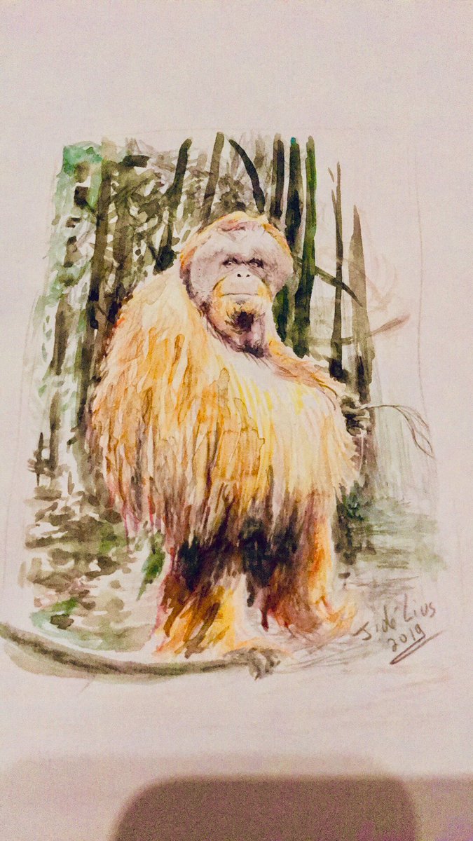 lichtfus's tweet photo. #monkey #animals #illustration #conceptartist #watercolor #art https://t.co/BLpNBI7oL2