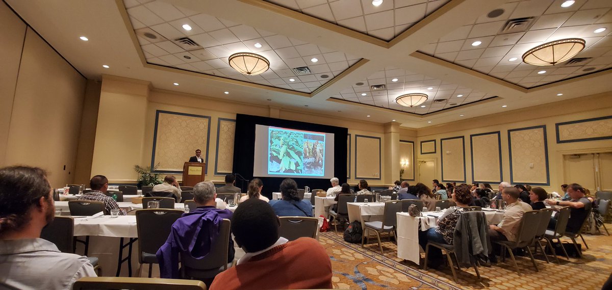FieldVegetables's tweet photo. Great meeting in Charleston SC #SDAPS2020. Be sure to check out the posters too! https://t.co/nJO0t2SYgm