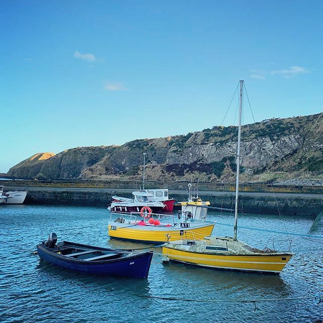 Gisforgingers's tweet photo. You wouldn’t know how windy it was on Saturday from these photos ⛵️ It definitely weather for staying cosy inside! #Stonehaven #StonehavenHarbour #BeautifulABDN #FishingBoats #Nature #NaturePhotography #NatureLovers #OutAndAboutScotland #Winter #ColdWeat… https://t.co/wViP2CCESD https://t.co/lv7tYfFBjT
