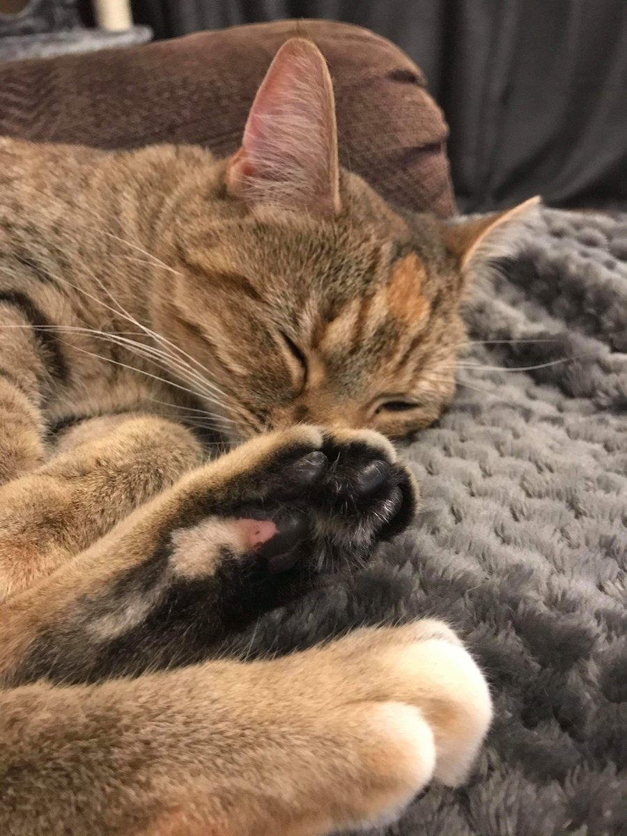 FEET
