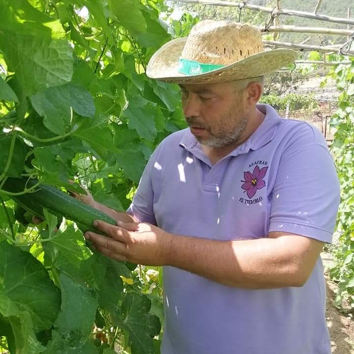 AzafranT's tweet photo. Cultivo de esponjas naturales en El Tiemblo, respetuosas con el medio ambiente,Biodegradables.
Pruebalas. https://t.co/HOLWLiw9sK