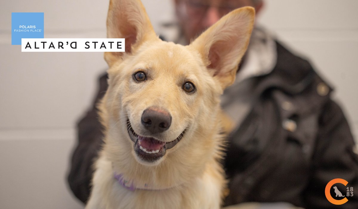 Beginning today through April 13th, Altar'd State at Polaris Fashion Place will donate 10% of every Monday's revenue. That's 9 Mondays of support to Columbus Humane! If you're making a trip to the mall on a Monday, visit Altar'd State to shop for good and support the community.