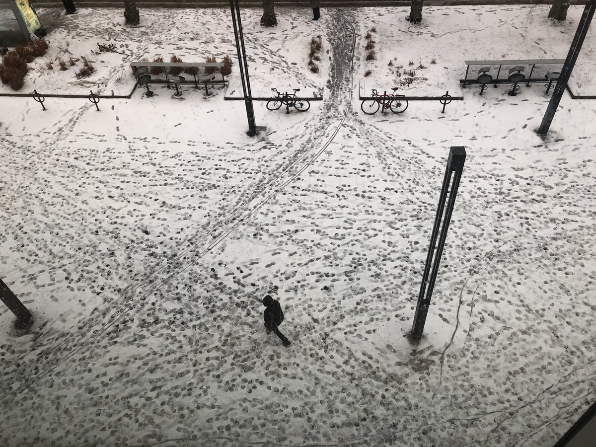 Something really cool about all these footprints leading to the library.