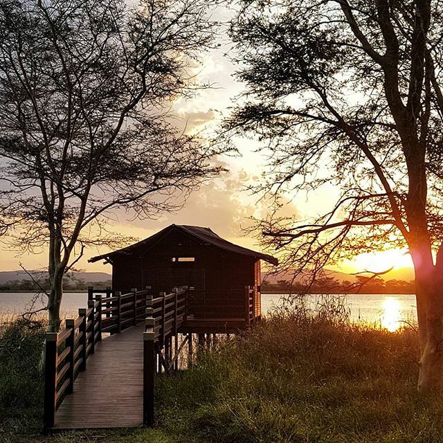 |SUNDOWNERS |

The perfect sundowner spot at uMkhuze Game Reserve

#isimangaliso #sunset #gamedrive #safari #travelpics #traveljourneys #travelwriter