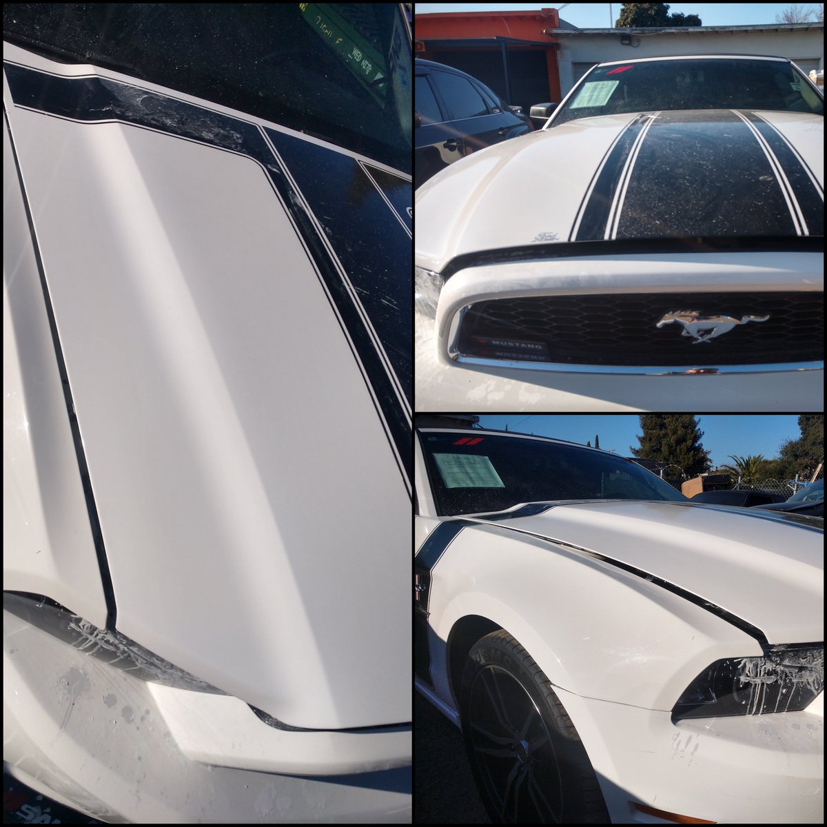 MilianisCustoms's tweet photo. After... #Repair and #paint done!
Let us #help you today!
#Call to make an #appointment (510) 846-2029.
#Reparación y #pintura hecha!
¡Permítanos #ayudarle hoy!
#Llame para hacer una #cita (510) 846-2029.
Blanco #BayArea #CADMV #AreaDeLaBahía #Samurai #V8 #Muscle #VMFDMA https://t.co/n1nUMlbu3N