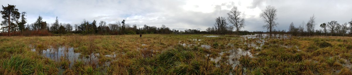 A great but cold day sampling soil C stocks in Birr Castle during storm Ciara with Ciara a final year Environmental Science student!! @TCD_NatSci @BirrCastle