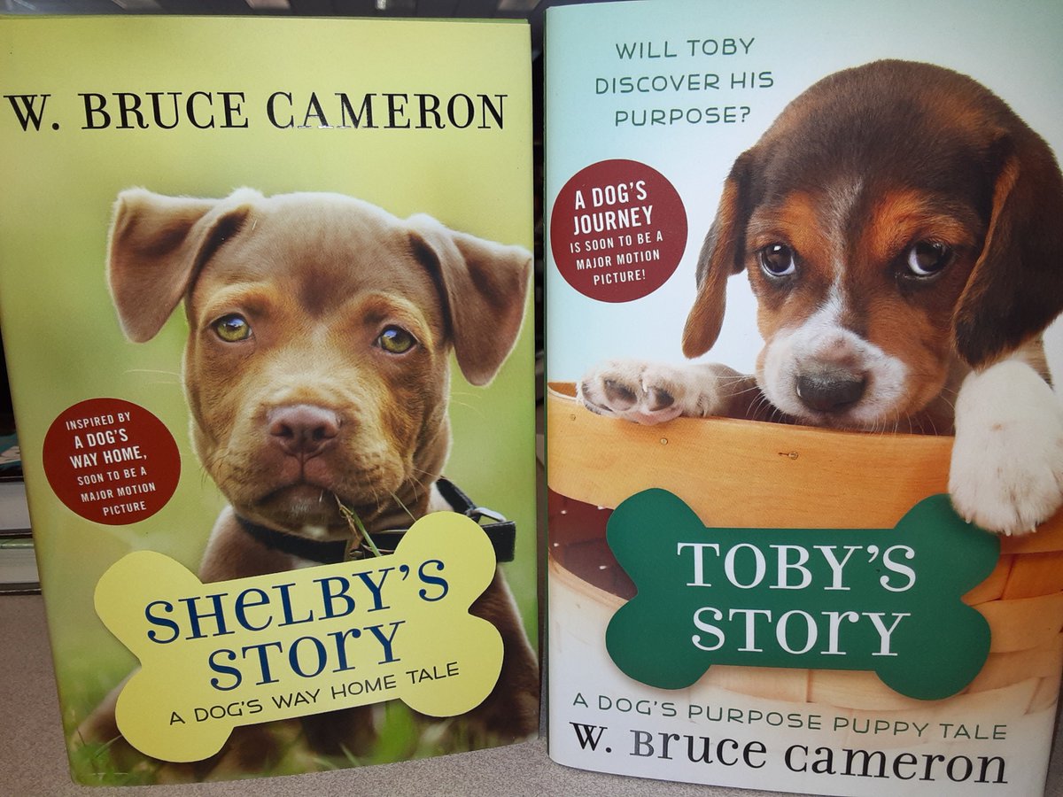 LibraryShms's tweet photo. More new titles for you, Mavericks! Whether you love @wbrucecameron's dog books, #scifi, #fantasy, or #graphicnovels novels, there's something to nab & read. #SHMSMavsRead #ReadingIsElemental https://t.co/quHphepd5K